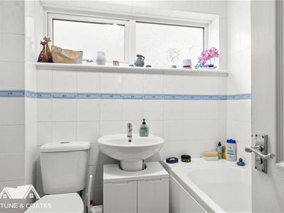 Picture 15